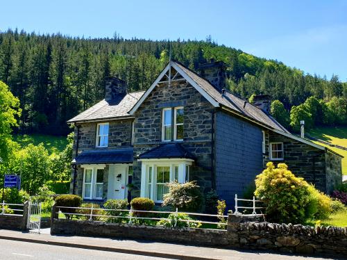 Bod Gwynedd in summer